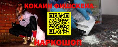 крисы Кингисепп