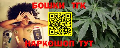 крисы Кингисепп