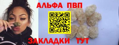 крисы Кингисепп