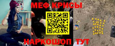 крисы Кингисепп